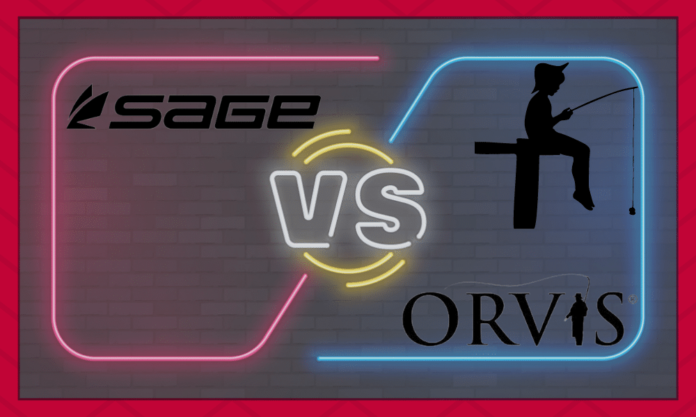 sage vs orvis