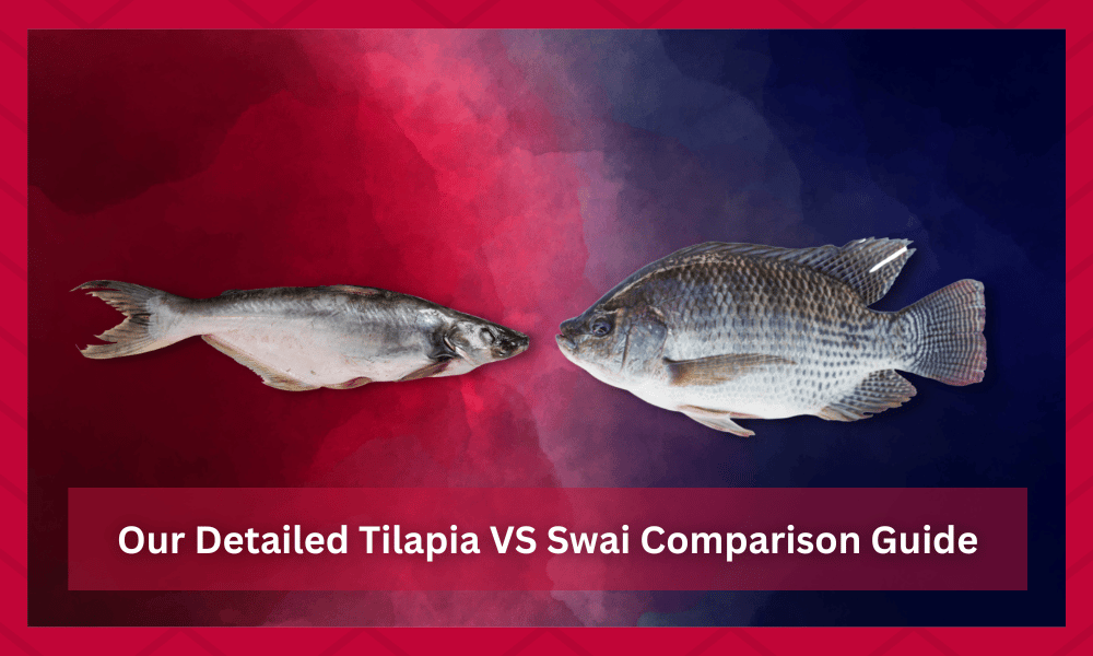tilapia vs swai