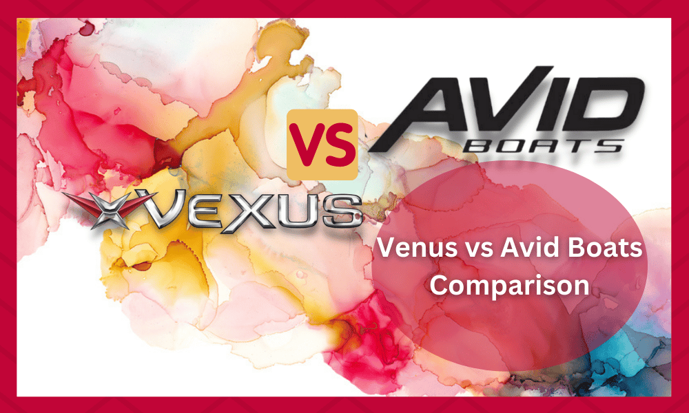 vexus vs avid boats