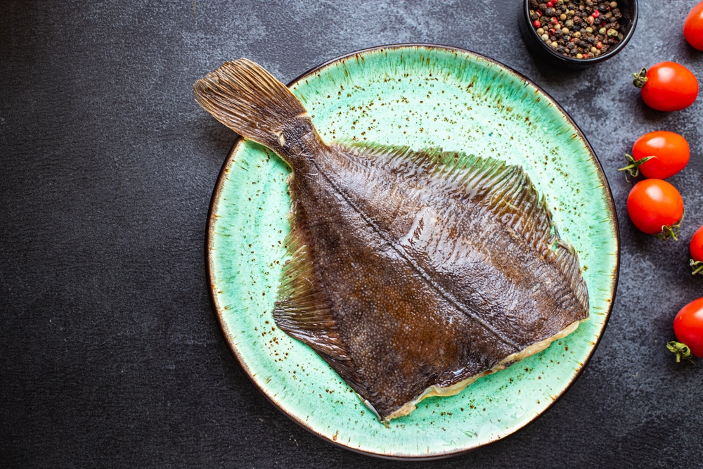 What's The Difference Between Halibut vs Fluke? FuncFish