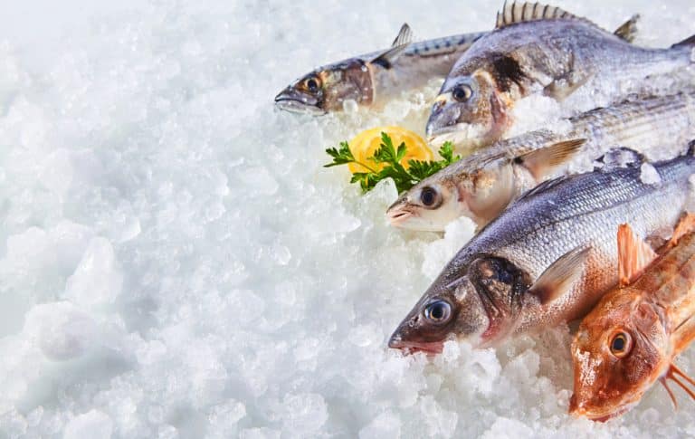 how-long-can-fish-stay-fresh-on-ice-funcfish