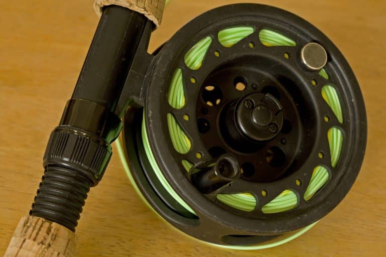 Mid Arbor Vs Large Arbor Which Reel Is Worth Buying FuncFish