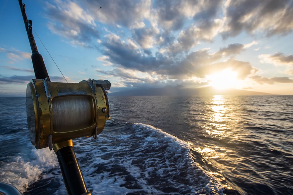 when is the best time to go deep sea fishing