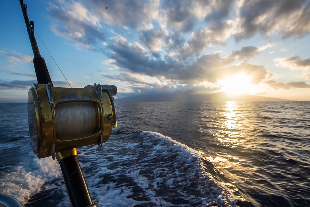 When Is the Best Time to Go Deep Sea Fishing? Conditions to Look Out