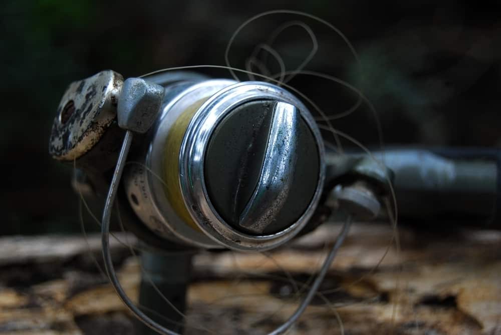 Why Does My Braided Line Keep Breaking 3 Reasons FuncFish
