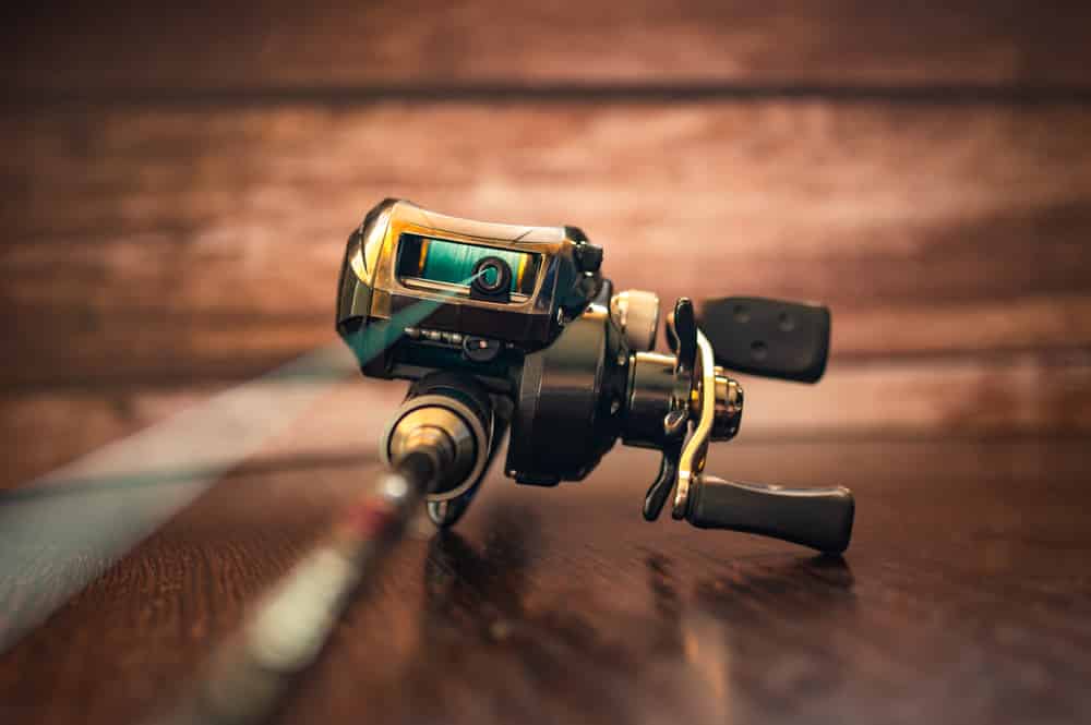 best perch fishing reels The 4 Best Fishing Reels of 2026