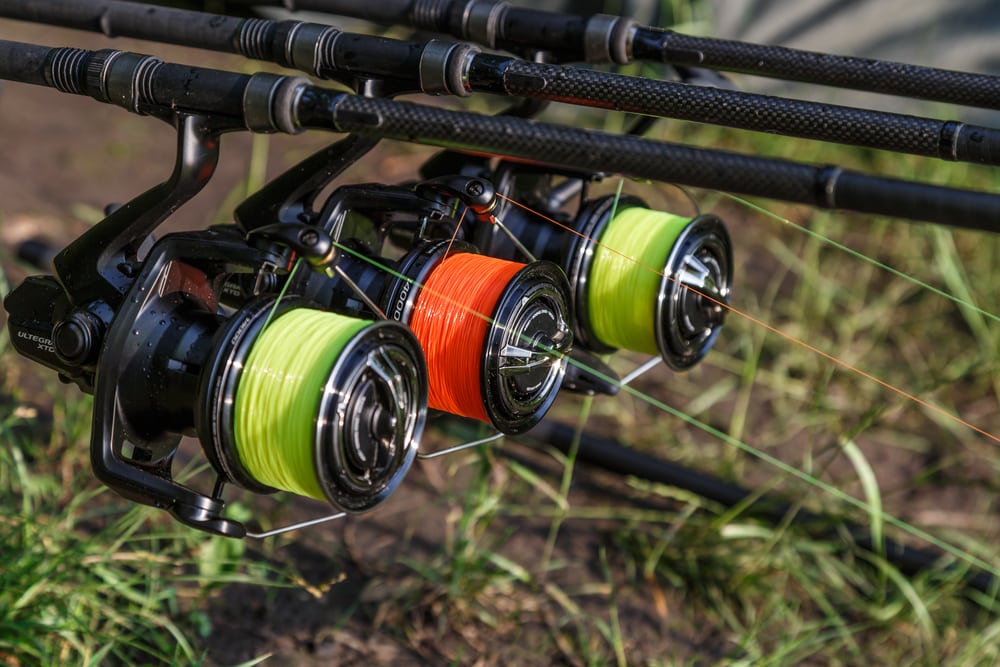 daiwa exist vs shimano stella