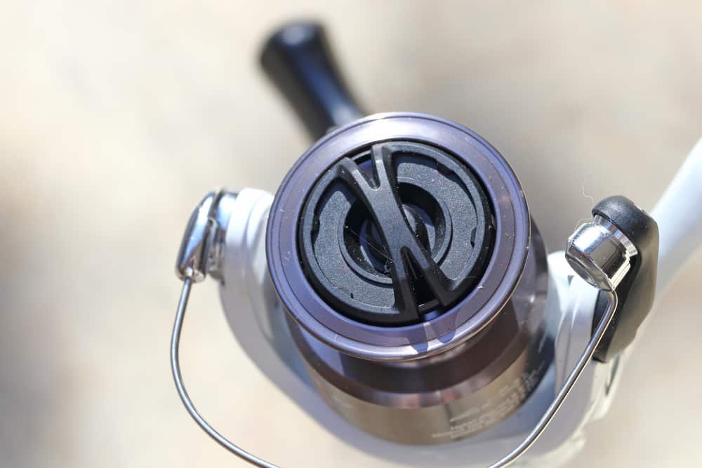 3 Methods To Solve Fishing Reel Drag Won't Tighten FuncFish