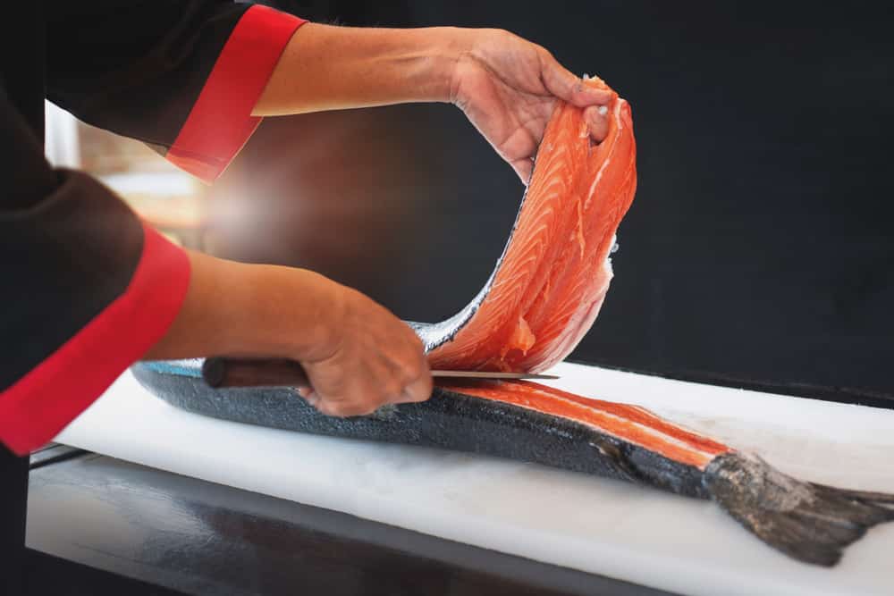 how to bleed a salmon