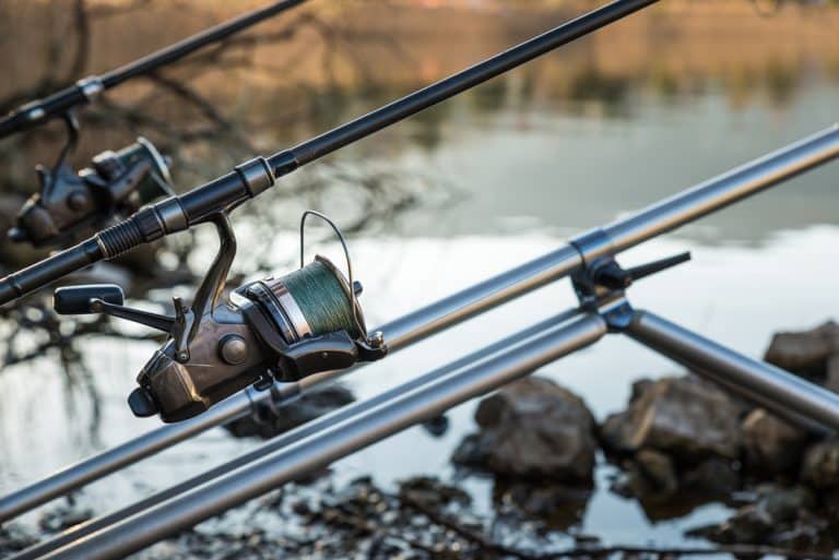 Penn Live Liner vs Shimano Baitrunner Which Is Better? FuncFish