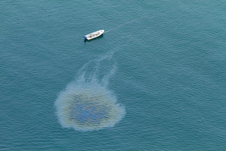 How Do You Detect A Fuel Leak On A Boat? (Guide) FuncFish