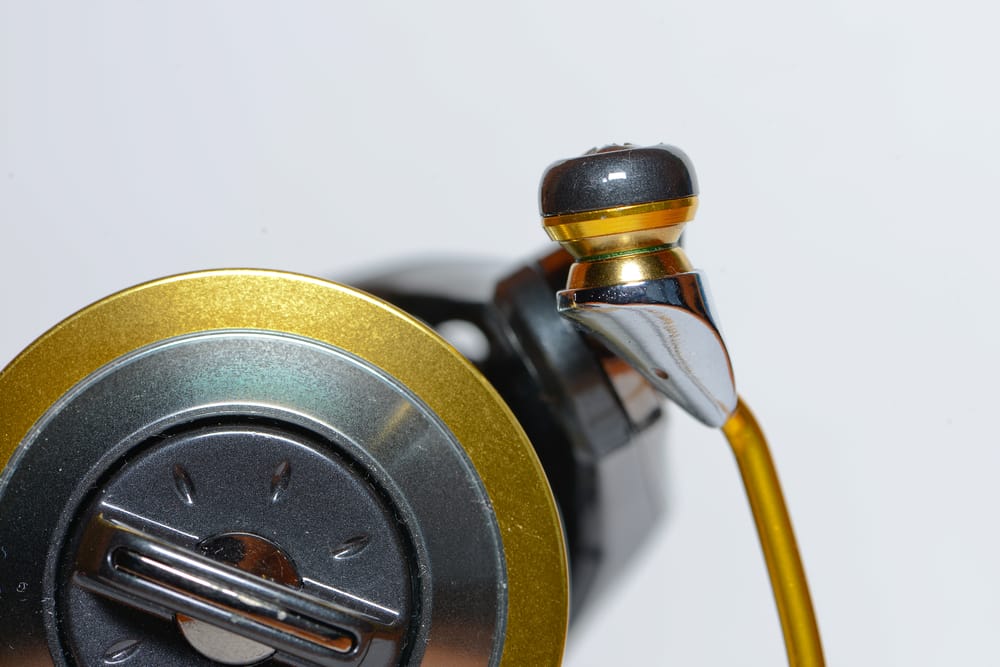 The Differences Between Daiwa BG vs Shimano NASCI FuncFish