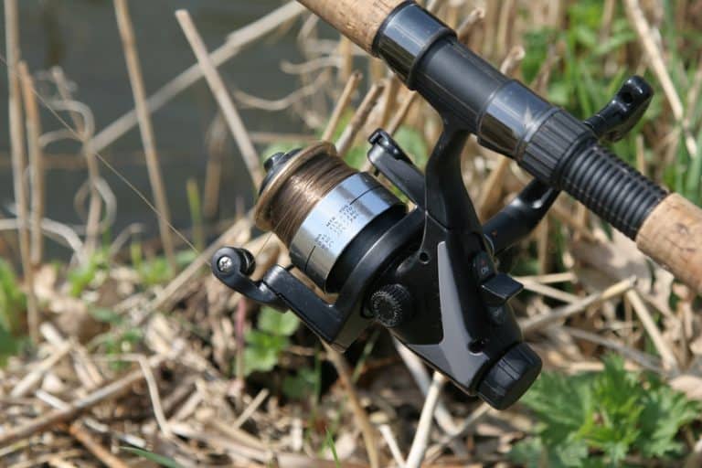 Daiwa Tatula LT vs Shimano Stradic Major Differences? FuncFish