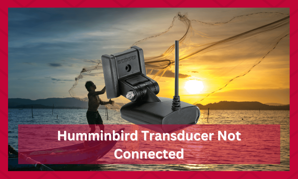 humminbird transducer not connected