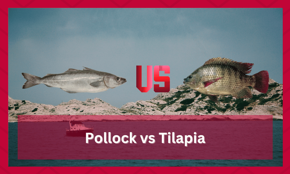 pollock vs tilapia