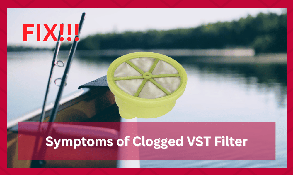 symptoms of clogged vst filter