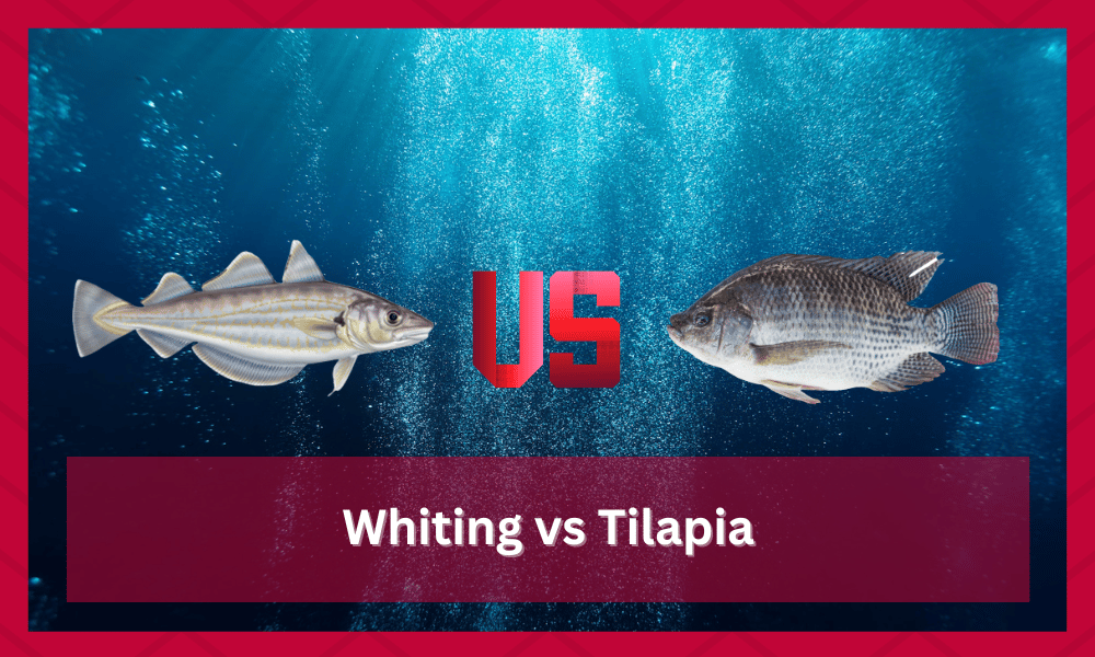 whiting vs tilapia
