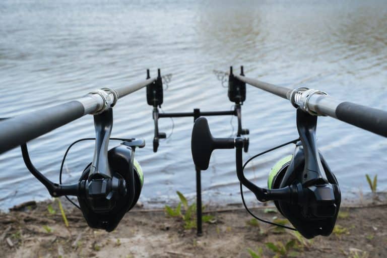 Best Bank Fishing Rod Holder? (Answered) FuncFish