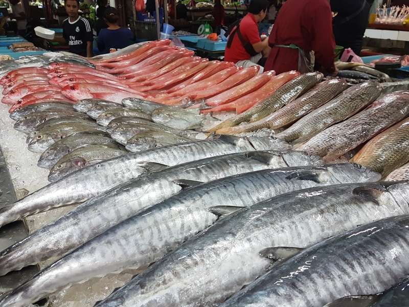 king-mackerel-vs-spanish-mackerel-comparison-funcfish