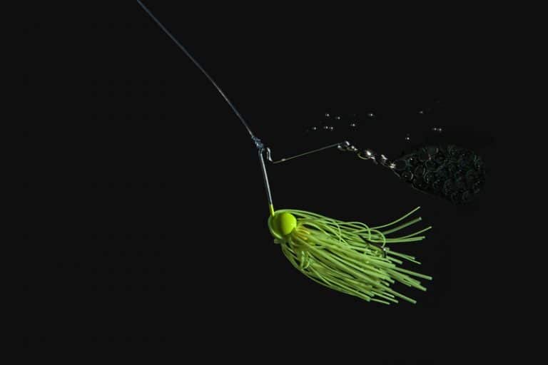 Nile Perch Vs Tilapia Which Fish Is Better For You? FuncFish