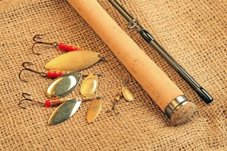 Orvis Encounter Fly Rod Review Is It Worth Buying? FuncFish