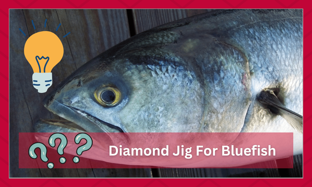 Diamond Jig For Bluefish