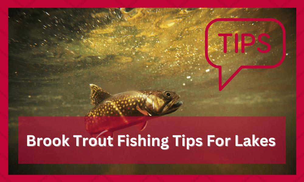 brook trout fishing tips in lakes