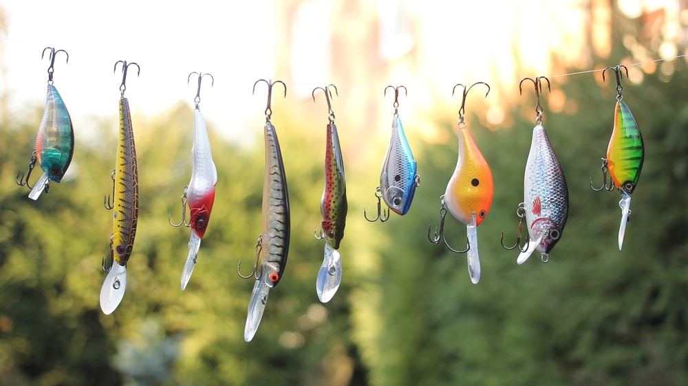 fishing baits