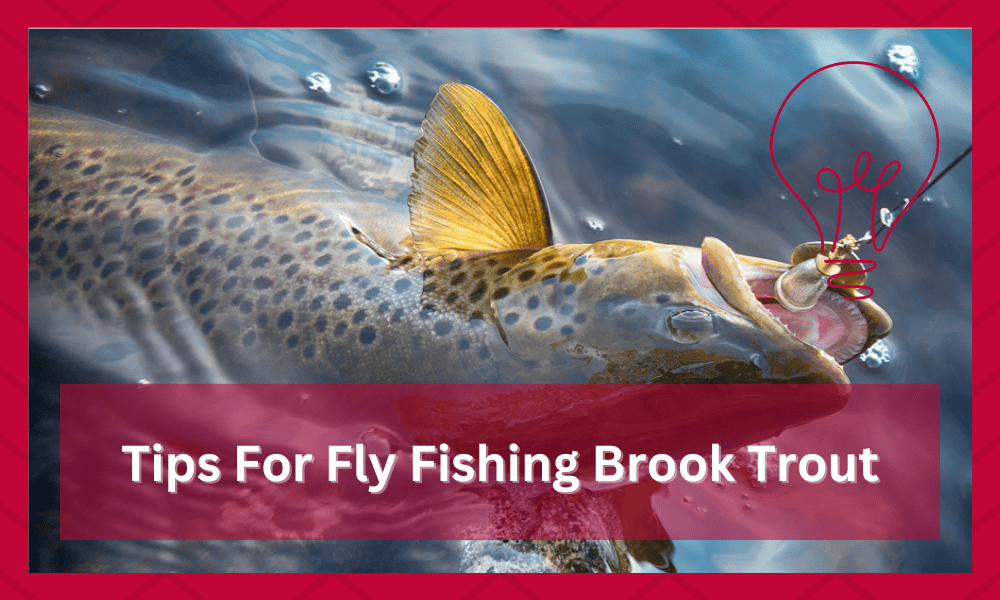 fly fishing brook trout tips