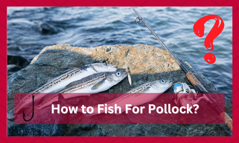 how to fish for pollock