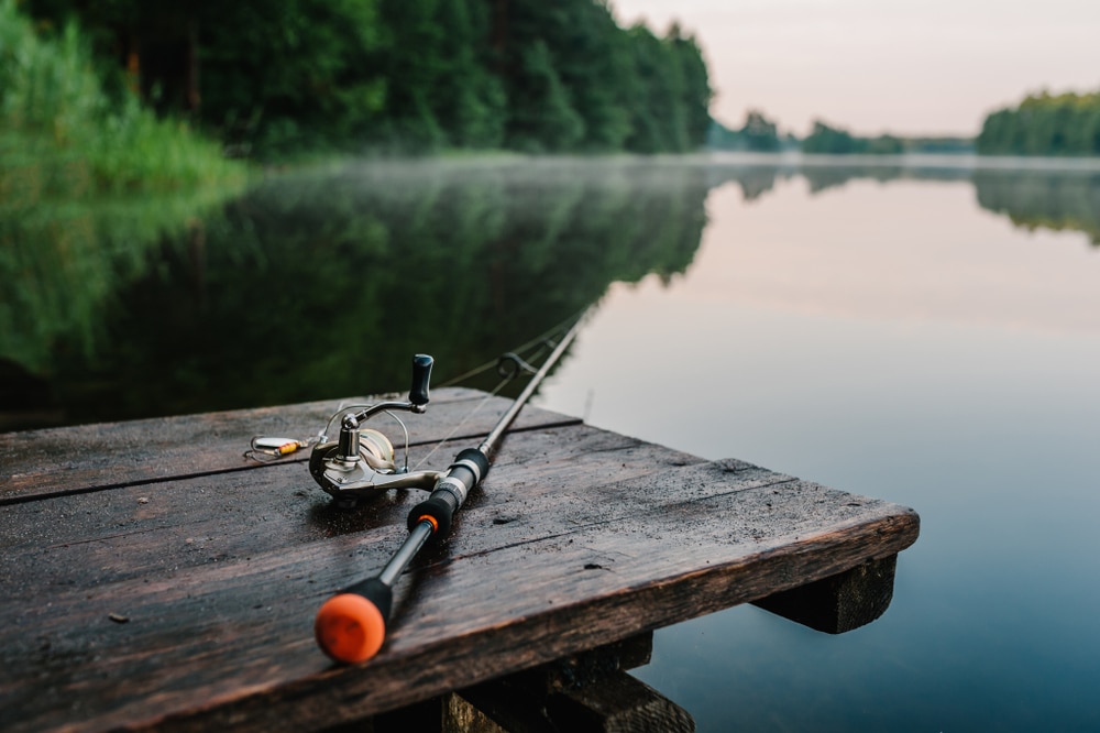 rod for fishing