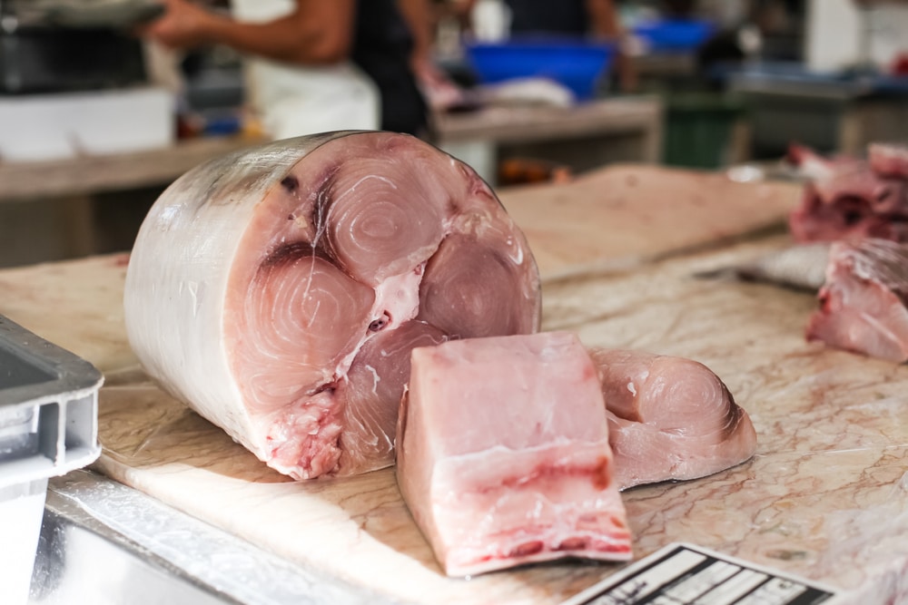 swordfish meat