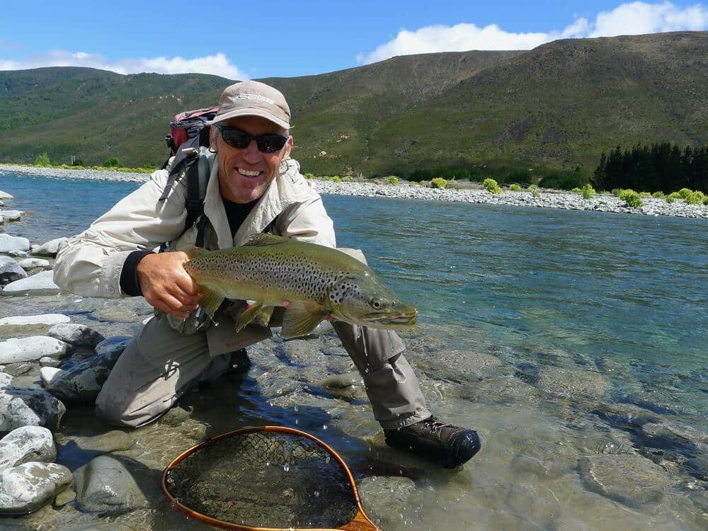 wild brown trout