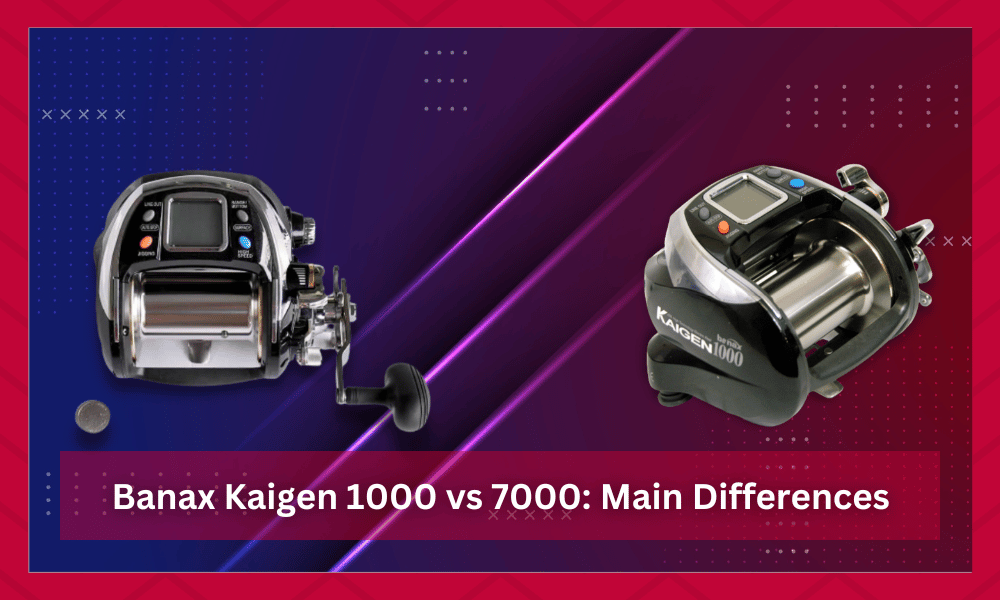 banax kaigen 1000 vs 7000