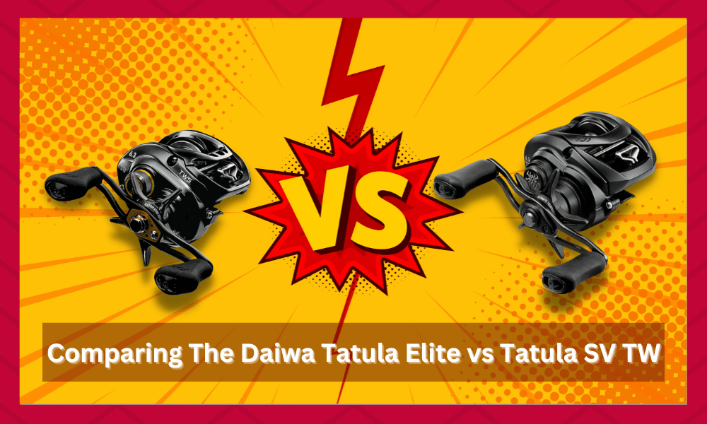 daiwa tatula elite vs tatula sv tw