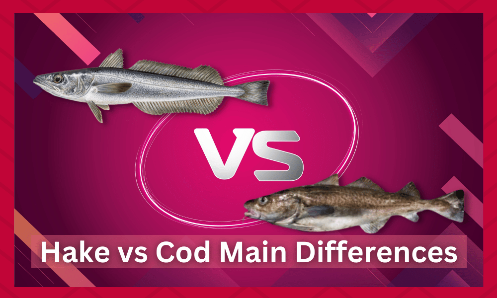 hake vs cod