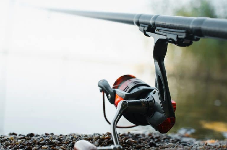 Spinning Reel Drag Not Clicking? Try These 5 Tips FuncFish