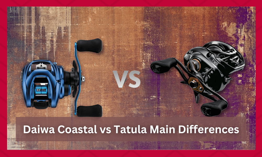 daiwa coastal vs tatula