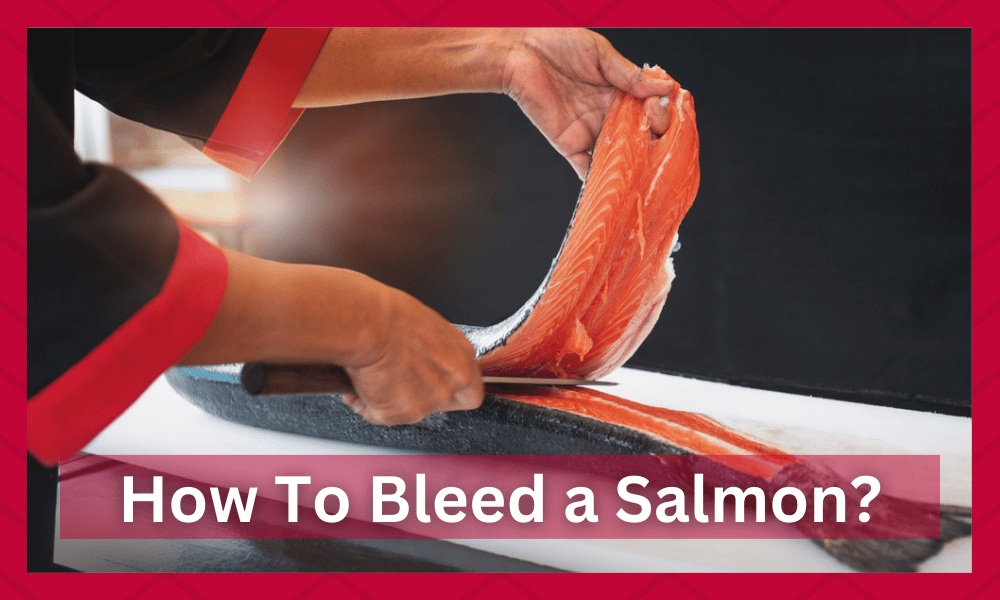 how to bleed a salmon