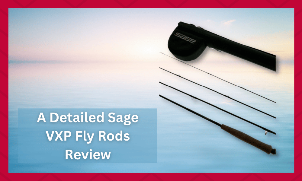 sage vxp fly rods review