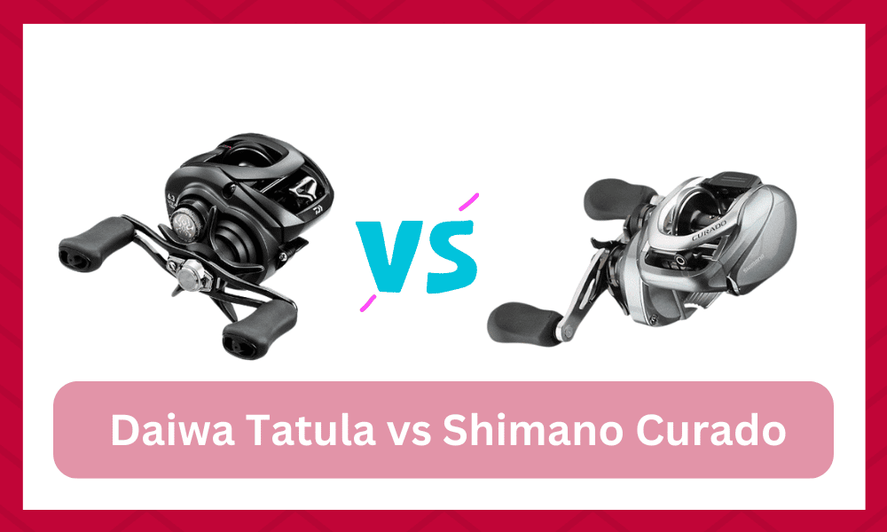 daiwa tatula vs shimano curado