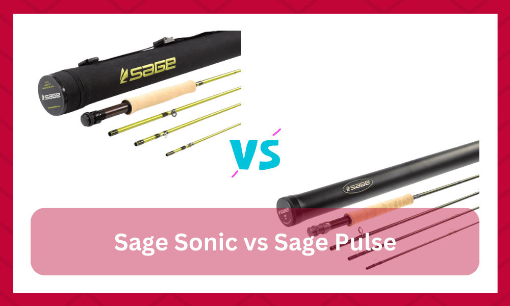 sage sonic vs pulse