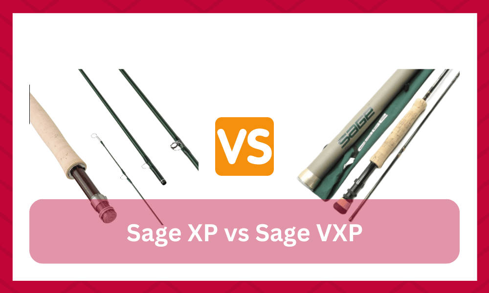 sage xp vs vxp