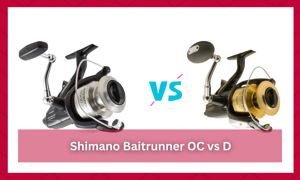 shimano baitrunner oc vs d