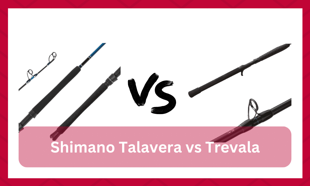 shimano talavera vs trevala