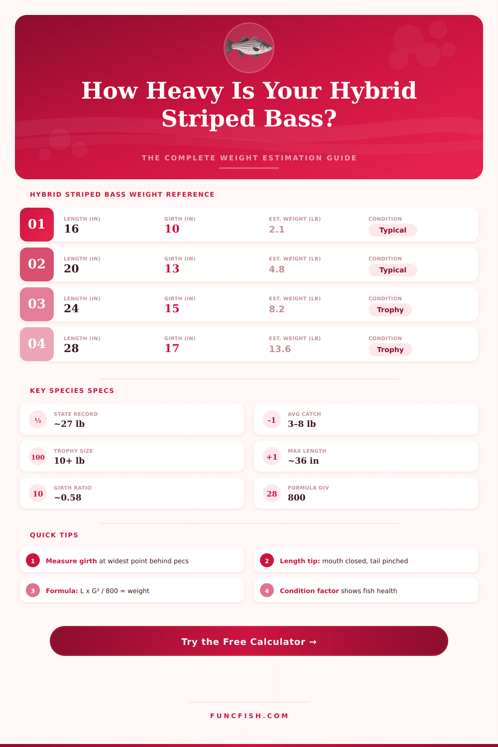 Hybrid Striped Bass Weight Calculator – Estimate Fish Weight by Length