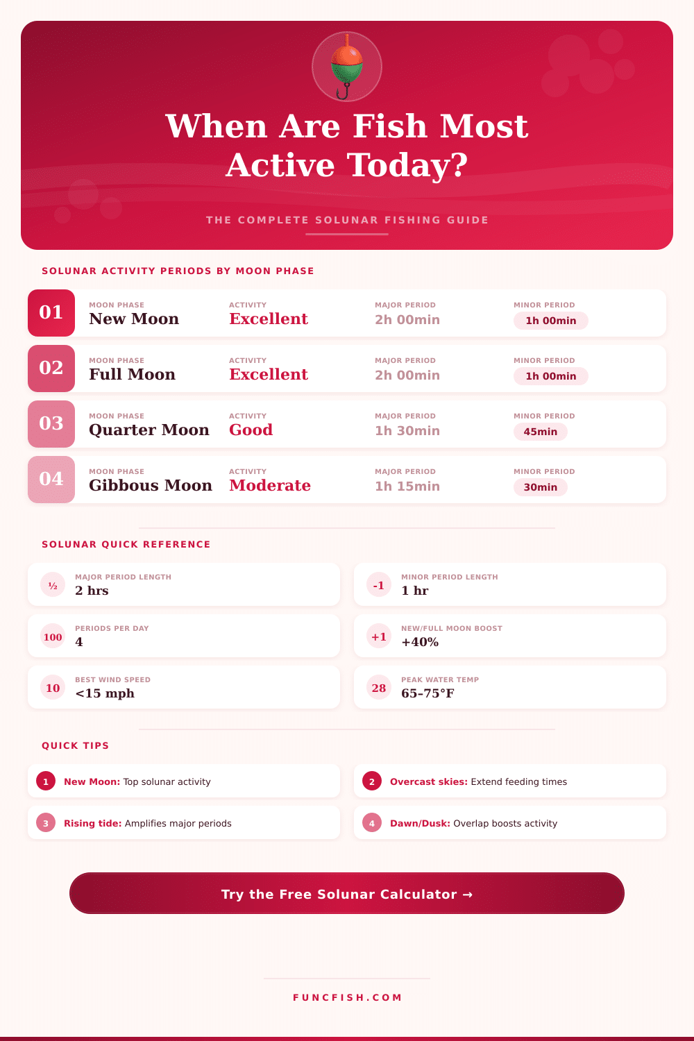 Solunar Fishing Calculator: Find Your Best Fishing Times