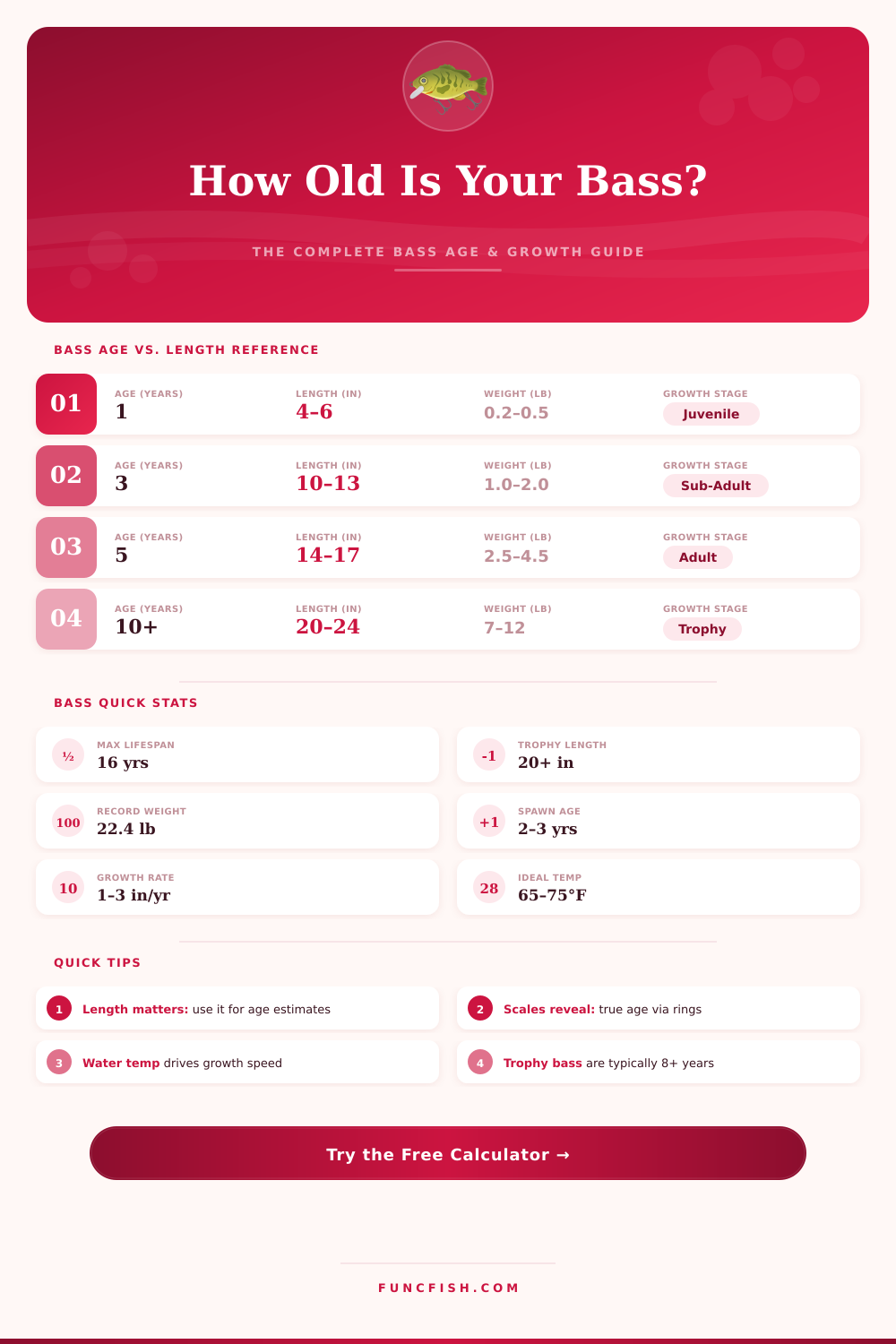 Bass Lifespan Calculator: How Old Is Your Bass?