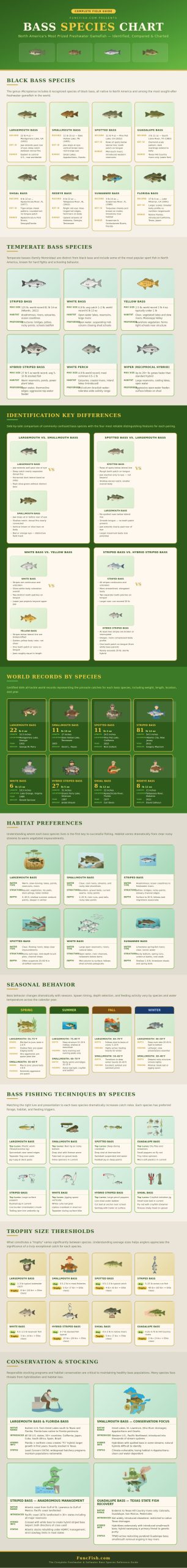 Bass Species Chart - FuncFish