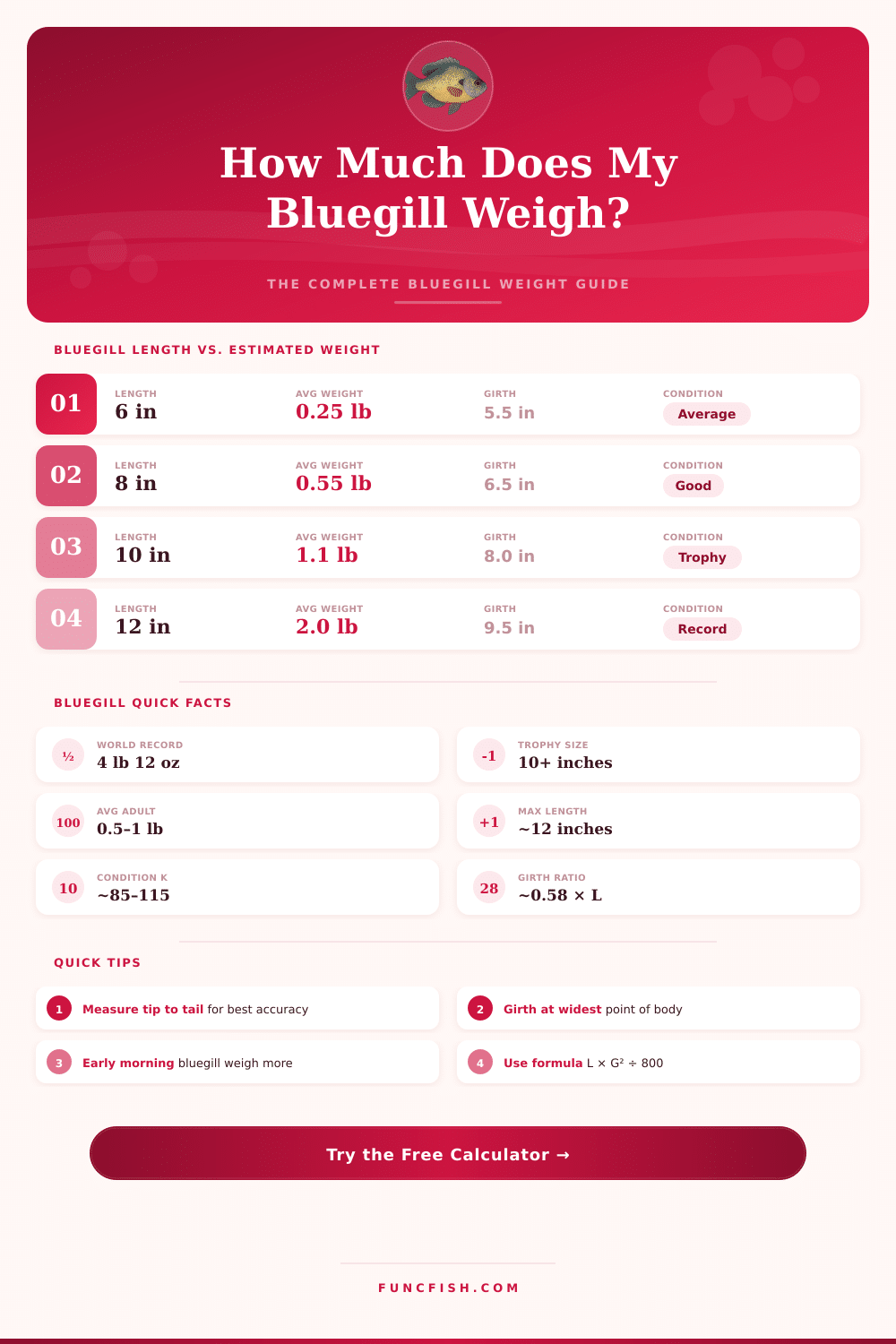 Bluegill Weight Calculator: Estimate Weight by Length